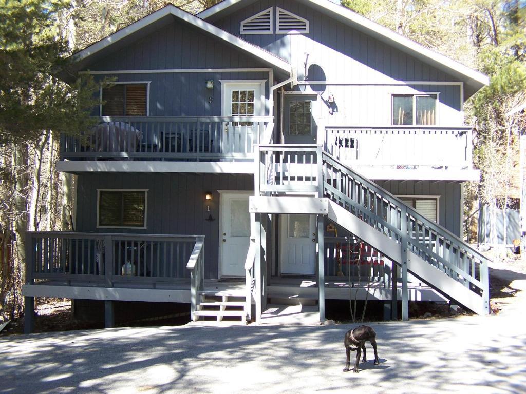 Birch Creek #1 - 1Br/1Ba - Down Canyon June Lake Dış mekan fotoğraf